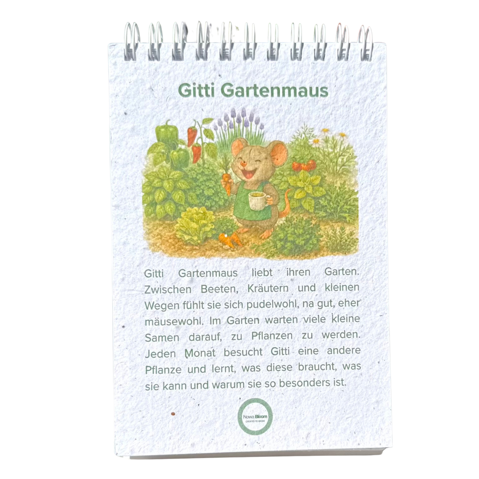 kinderkalender-samenpapier-pflanzbar.jpg
