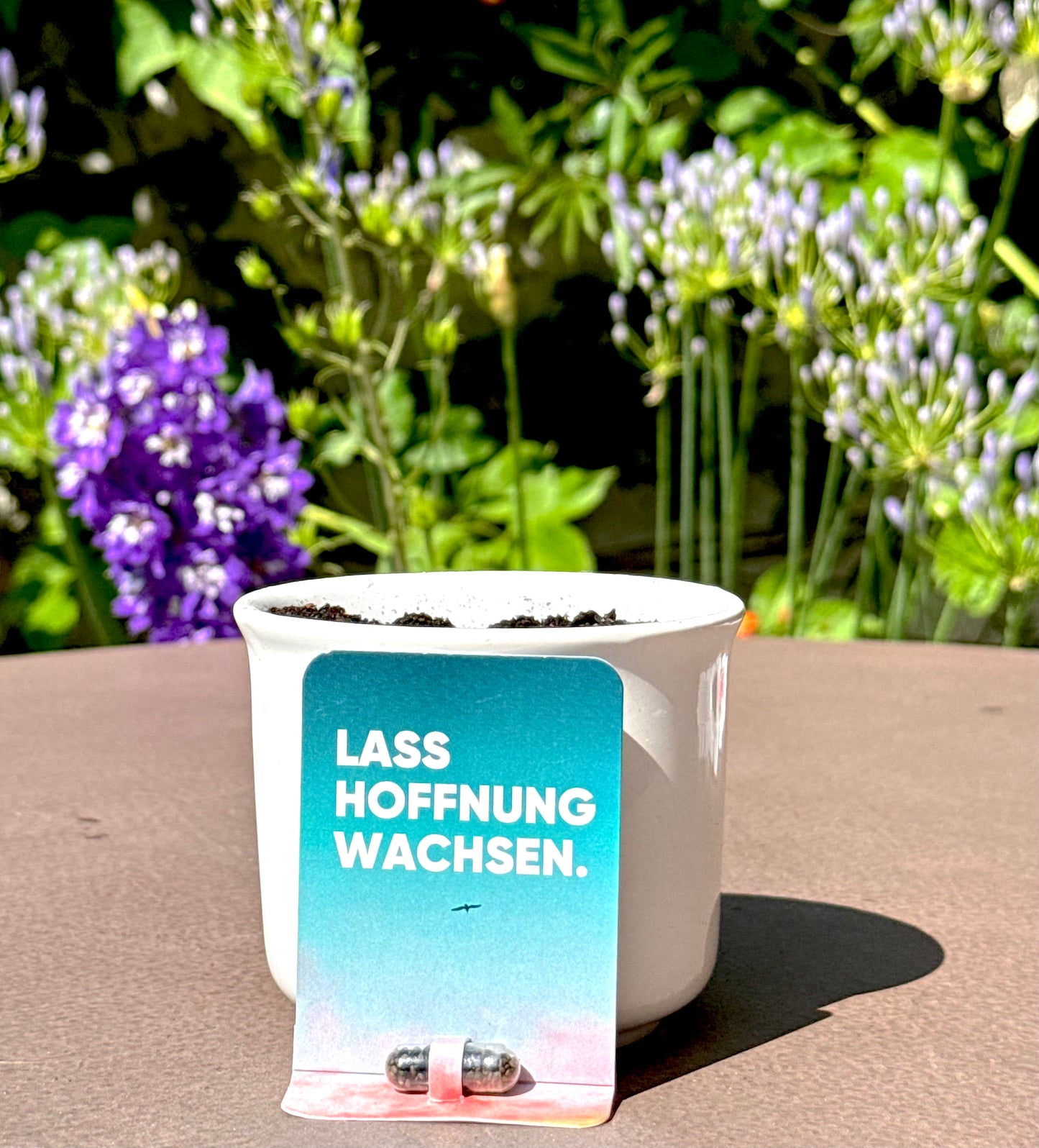 nachhaltiges-giveaway-saatkapsel.jpg
