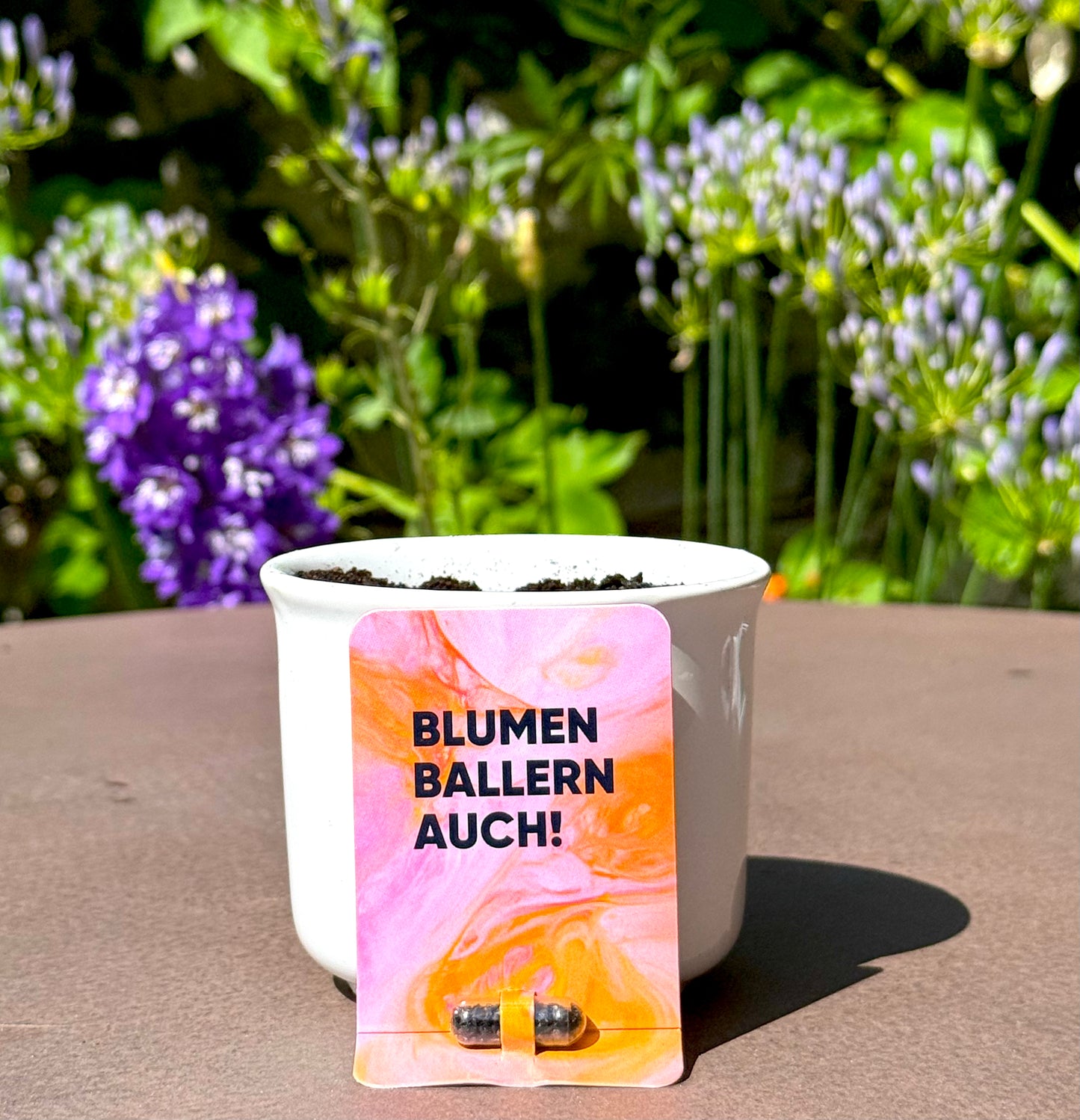 pflanzbare-saatkapsel-wildblumen