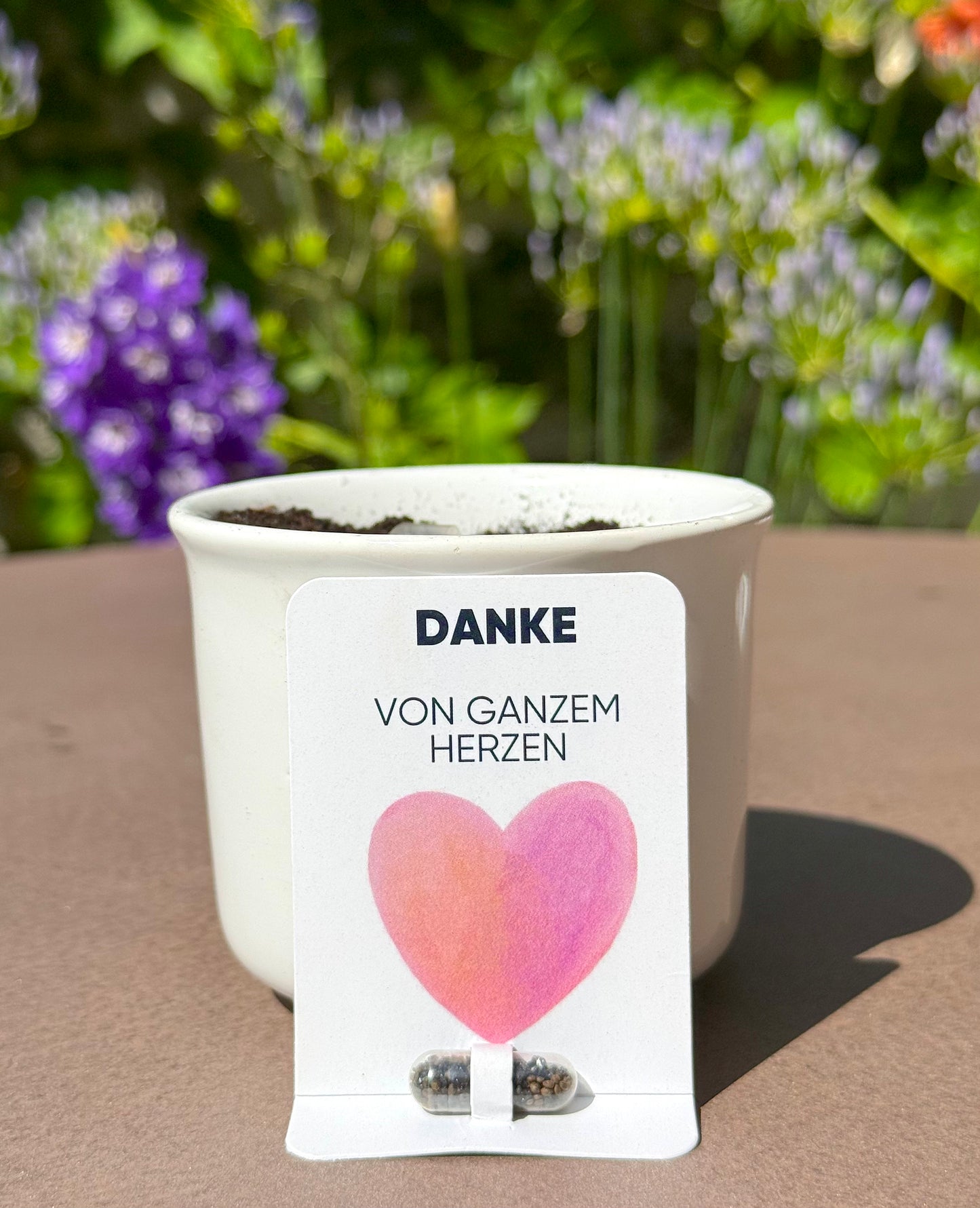 saatkapsel-wildblumen-geschenkidee