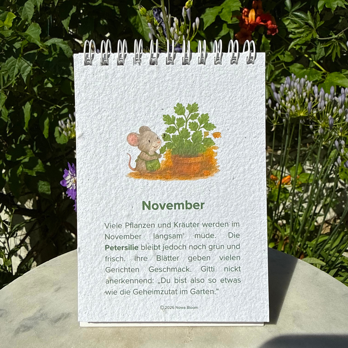 samenpapier-kalender-fuer-kinder.jpg
