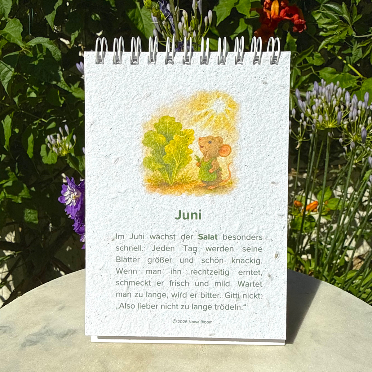samenpapier-kalender-fuer-kinder.jpg
